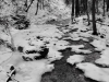 dsc08104