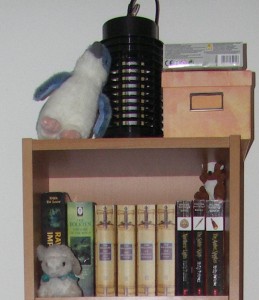 regalhochebene1 regalhochebene1