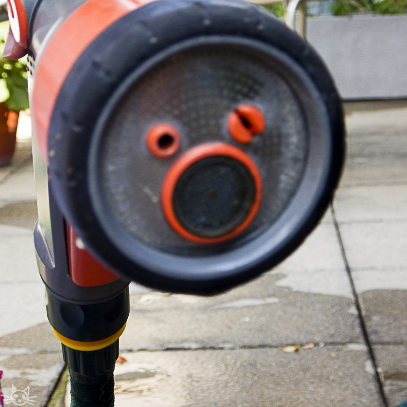 faces-3761